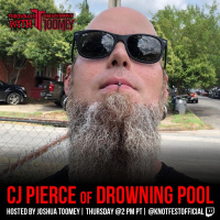 Drowning Pool / The Agonist