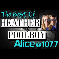 How Has Your Kind Insulted You?