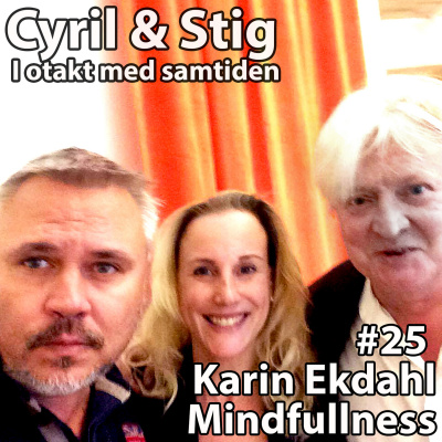 Cyril  Stig - I Otakt Med Samtiden