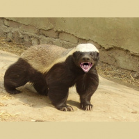 194: Career Callings Radio: December 28, 2015