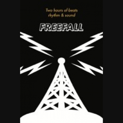 Freefall W/david Bassin