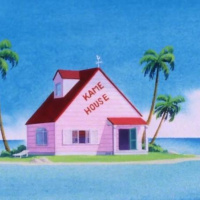 Kame House Podcast Episode 1: We Like a lot.