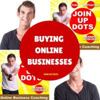 Buying Online Businesses