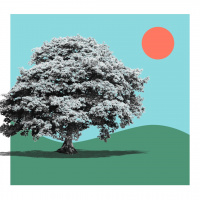 Friend of Sinners, Luke 19:1-9