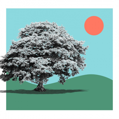 Woodmen Valley Chapel