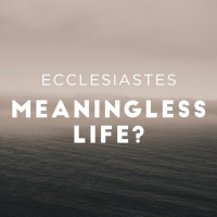 Running To Your Funeral: Ecclesiastes 2:12-26