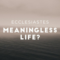 Good News for Losers: Ecclesiastes 9:11-10:7