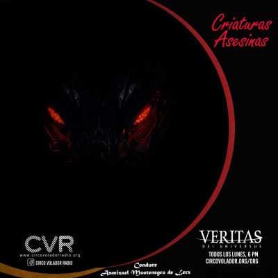 Veritas Dei Universus