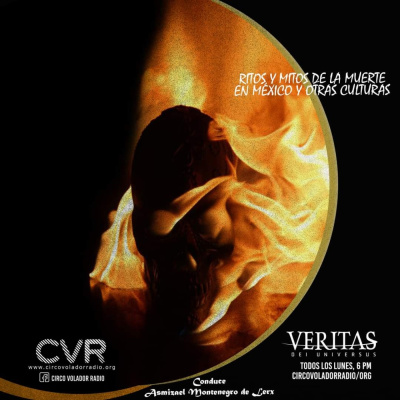 Veritas Dei Universus