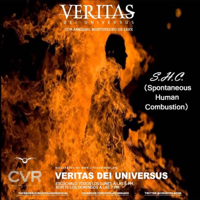 Veritas Dei Universus