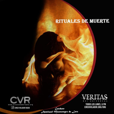 Veritas Dei Universus