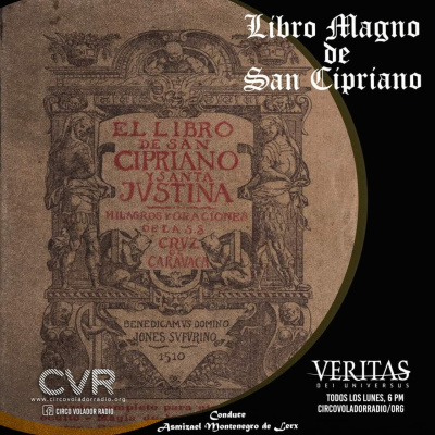 Veritas Dei Universus