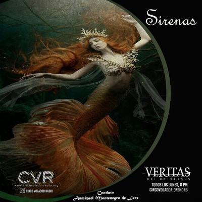 Veritas Dei Universus