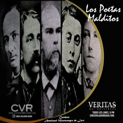 Veritas Dei Universus