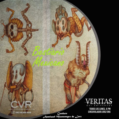 Veritas Dei Universus