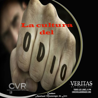 Veritas Dei Universus