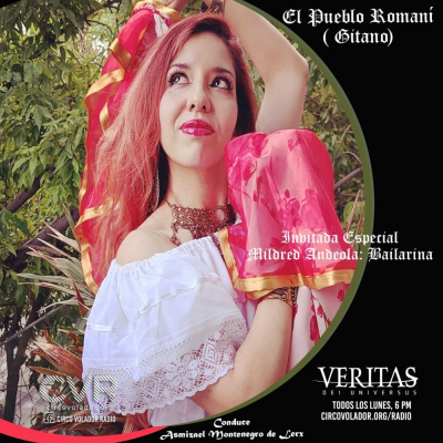 Veritas Dei Universus