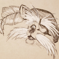 Episode 50: Sir Didymus Has Joined the Party