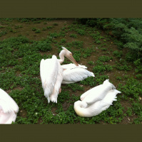 Mein Tag, son bissel :) [10:33]