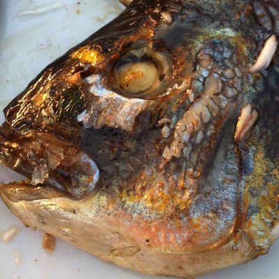 Jens Kröger (blog4it)s Posts