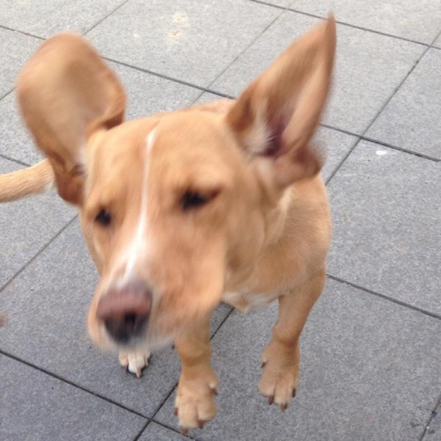 Jens Kröger (blog4it)s Posts