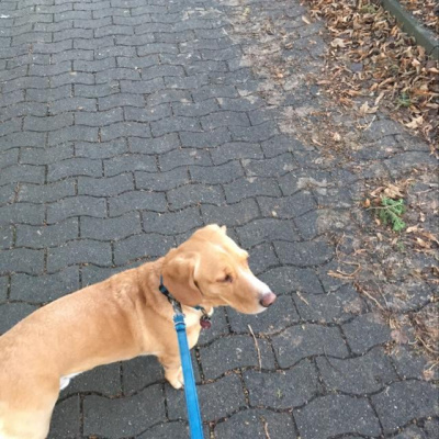 Jens Kröger (blog4it)s Posts