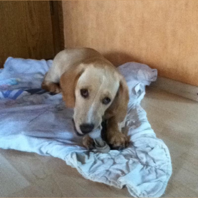 Jens Kröger (blog4it)s Posts