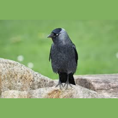 Jens Kröger (blog4it)s Posts