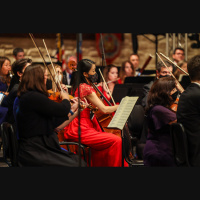 Encore Houston, Episode 179: River Oaks Chamber Orchestra