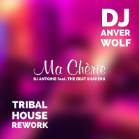 DJ Antoine feat. The Beat Shakers - Ma Chèrie (DJ Anver Wolf Tribal House Radio Edit)