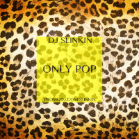 DJ SLINKIN - ONLY POP