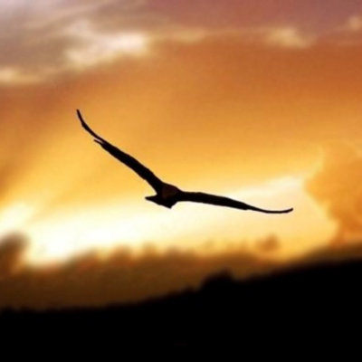 Le Meraviglie Della Natura