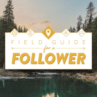  Field Guide for a Follower - Lets Talk about Sex - Brad Vanderson