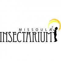 Glen Marangelo of Missoula Insectarium!