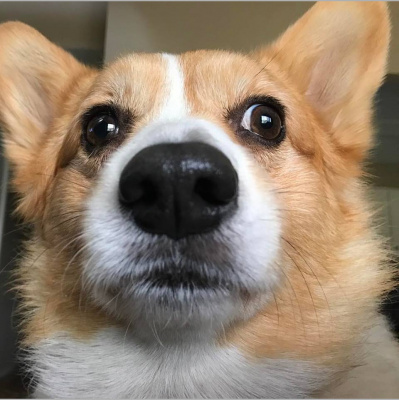 Jamie And Travis Present...