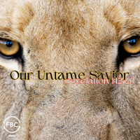 Our Untamed Savior | 07.14.2024