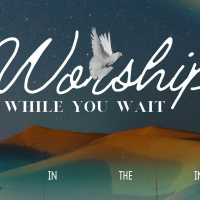 Worship While You Wait | 2/11/24