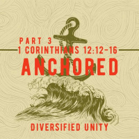 Anchored Part 3 Diversified Unity | 1.21.2024