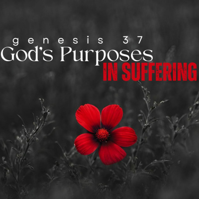 Fbc Sheridan Wy Sermons