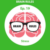 Brain Rules- Stress