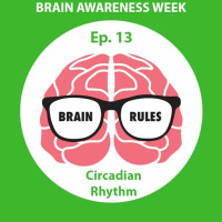 Brain Rules- Brain Awareness Week- Circadian Rhythm