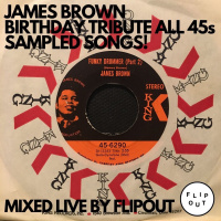 JAMES BROWN BIRTHDAY TRIBUTE ALL 45s