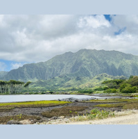 229 - Abundance (feat. Candace Fujikane)