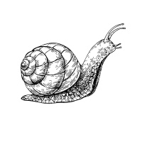 Degrowth (feat. Timothée Parrique)