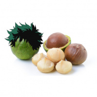 S1 Ep191: Our Hero Macadamia