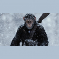 NERDWatch Episode 153: #OscarsSoHuman