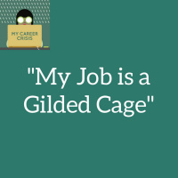 My Job Is A Gilded Cage