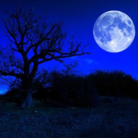 Visiones de La Noche (Ambrose Bierce) | Audiolibro - Audiorelato