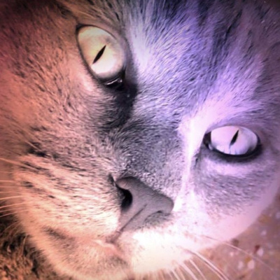 Terror Y Nada Más (audiorelatos / Audiolibros)