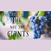Look at the grapes, Not the giants - Kathy Jernigan